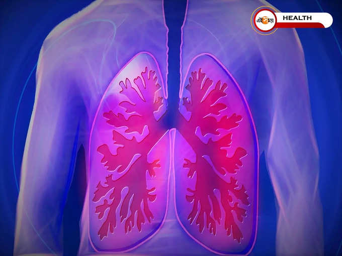 Lungs