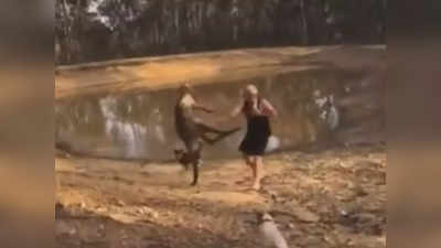 Viral Video: ಪಂಚ್ ಕೊಟ್ಟು ವ್ಯಕ್ತಿಯನ್ನು ನೆಲಕ್ಕುರುಳಿಸಿದ ಕಾಂಗರೂ!: ಅಚ್ಚರಿ ಮೂಡಿಸುತ್ತದೆ ಈ ದೃಶ್ಯ
