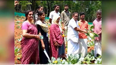 ജൈവപച്ചക്കറി കൃഷിയില്‍ നൂറുമേനി വിളവുമായി മലപ്പുറത്തെ കര്‍ഷകന്‍, വീഡിയോ