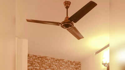 किफायती कीमत पर मिल रहे हैं ये ब्रांडेड Ceiling Fans, शानदार मॉडल और कलर में हैं उपलब्ध