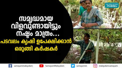 സമൃദ്ധമായ വിളവുണ്ടായിട്ടും നഷ്ടം മാത്രം...  പടവലം കൃഷി ഉപേക്ഷിക്കാൻ ഒരുങ്ങി കർഷകർ