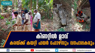 കിണറ്റില്‍ മ്ലാവ്; കരയ്ക്ക് കയറ്റി ഫയര്‍ ഫോഴ്സും വനപാലകരും