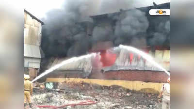 Fire at Howrah: ভয়াবহ আগুন তুলোর গুদামে, সামাল দিতে হিমশিম খাচ্ছে দমকল