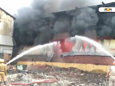 Fire at Howrah: ভয়াবহ আগুন তুলোর গুদামে, সামাল দিতে হিমশিম খাচ্ছে দমকল