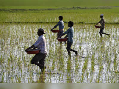 Pm kisan mandhan yojana; ರೈತರಿಗೂ ಮಾಸಿಕ ₹3000 ಪಿಂಚಣಿ ಲಭ್ಯ! ಪಡೆಯುವುದು ಹೇಗೆ?