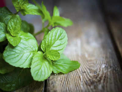 Mint Leaves: മുഖക്കുരുവിൽ പുതിനയില അരച്ച് പുരട്ടിയാൽ കാണാം ഫലം