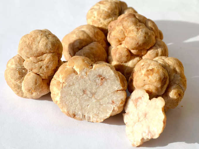 इटेलियन व्हाइट अल्बा ट्रफल - italian white alba truffle