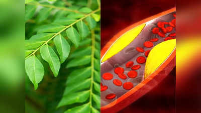 Leaf for Cholesterol: चबा लो या उबालकर पी लो, हर तरह से कोलेस्ट्रॉल को शरीर से उखाड़ फेंकेंगे ये हरे पत्ते
