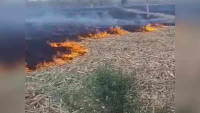 ऊसाच्या शेतात लागली भीषण आग; ऊसतोड कामगार महिलेचा जळून मृत्यू