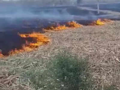 ऊसाच्या शेतात लागली भीषण आग; ऊसतोड कामगार महिलेचा जळून मृत्यू