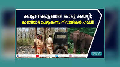 കാട്ടാനകൂട്ടത്തെ കാടു കയറ്റി; കാഞ്ചിയാർ പേഴുംങ്കണ്ടം നിവാസികൾ ഹാപ്പി!! വീഡിയോ കാണാം