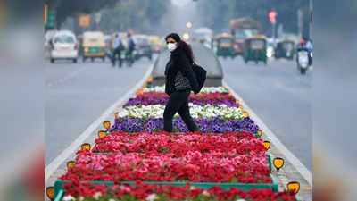 कनॉट प्लेस की बाराखंभा रोड की बदली सूरत, रंगे-बिरंगे फूलों से सजी पूरी सड़क