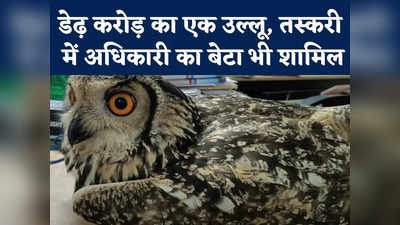 Indore Rare Owl Video : इंदौर में मिला दुर्लभ प्रजाति का उल्लू, डेढ़ करोड़ है कीमत