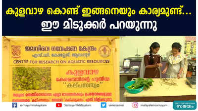 കുളവാഴ കൊണ്ട് ഇങ്ങനെയും കാര്യമുണ്ട്.. ഈ മിടുക്കർ പറയുന്നു