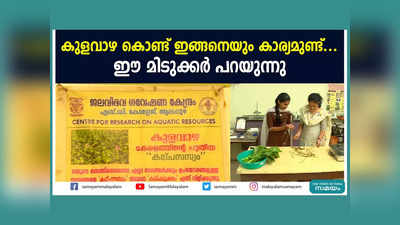 കുളവാഴ കൊണ്ട് ഇങ്ങനെയും കാര്യമുണ്ട്.. ഈ മിടുക്കർ പറയുന്നു, വീഡിയോ കാണാം