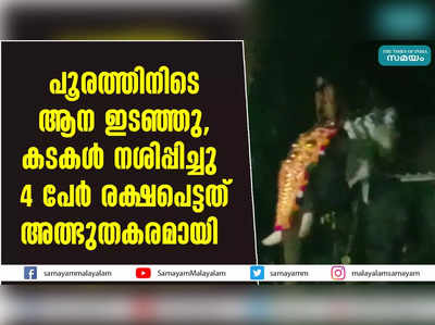 പൂരത്തിനിടെ ആന ഇടഞ്ഞു, കടകൾ നശിപ്പിച്ചു; 4 പേർ രക്ഷപെട്ടത് അത്ഭുതകരമായി