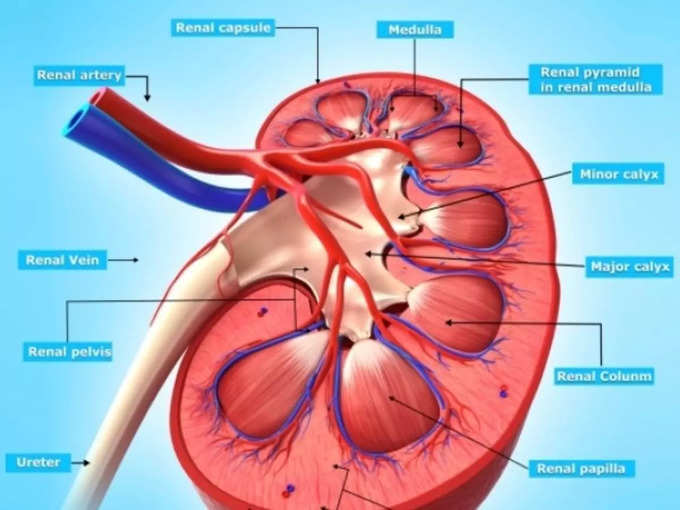 kidney bimari