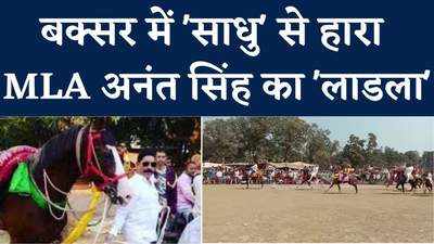 Buxar Horse Race Competition: हार गया बाहुबली विधायक अनंत सिंह का लाडला, विवेक पहलवान का पिस्टल भी चारों खाने चित