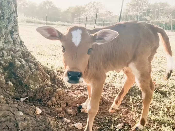 अपना बच्चा ही मानती हैं वो