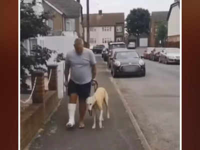 Video: मालकासाठी कुत्रा झाला लंगडा; ३० हजार खर्च केले तरी होत नव्हता बरा