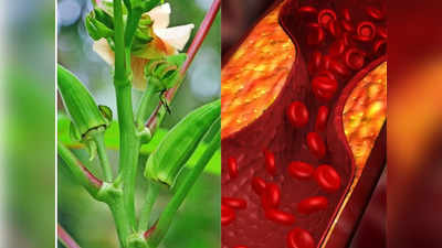 Vegetables for Cholesterol: कोलेस्ट्रॉल को चूसकर खून की नसों को साफ और मजबूत बना सकती हैं ये 5 सब्जियां