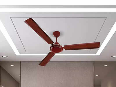 काफी सस्ती कीमत में मिल रहे हैं टॉप क्वालिटी वाले Ceiling Fan, हाई स्पीड के साथ पाएं डिजाइनर लुक