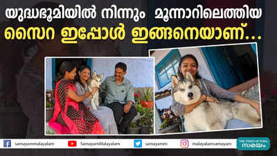 യുദ്ധഭൂമിയിൽ നിന്നു മൂന്നാറിൽ; സൈറ ഇപ്പോൾ ഇങ്ങനെയാണ്...