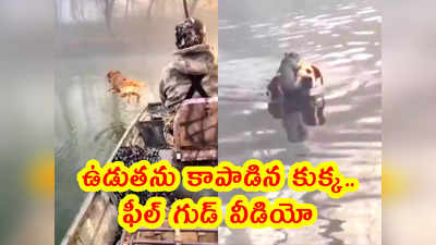 video: ఉడుతను కాపాడిన కుక్క.. ఫీల్ గుడ్ వీడియో 