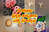 16 Pics: ప్రకృతి అద్భుతాలు.. ఎన్నో రహస్యాలు