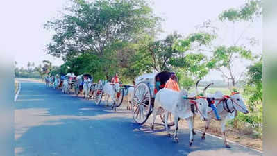 மாட்டு வண்டிக்கு அனுமதி கிடைக்குமா? பண்ணாரி அம்மன் பக்தர்கள் காத்திருப்பு!