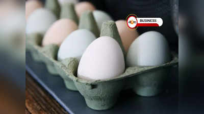 Egg Price: একলাফে ডিমের জোড়া 20 টাকা, মূল্যবৃদ্ধির আঁচে পুড়ছে বাংলাদেশ!