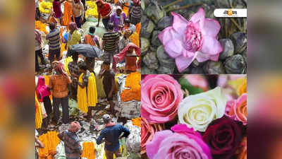 Flower Market in Howrah: মল্লিকঘাটের মতো বিশাল ফুলবাজার এবার হাওড়াতেও