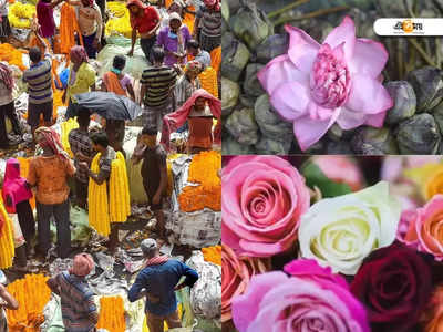 Flower Market in Howrah: মল্লিকঘাটের মতো বিশাল ফুলবাজার এবার হাওড়াতেও