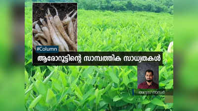 ആരോറൂട്ടിൻറെ സാമ്പത്തിക സാധ്യതകൾ