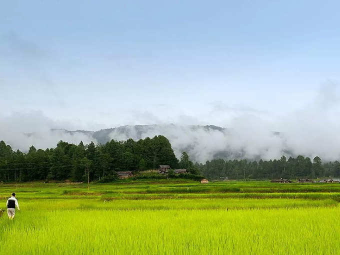 ​ಝಿರೋಗೆ ಭೇಟಿ ನೀಡಲು ಉತ್ತಮ ಸಮಯ