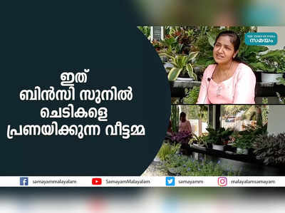 ഇത് ബിൻസി സുനിൽ ചെടികളെ പ്രണയിക്കുന്ന വീട്ടമ്മ