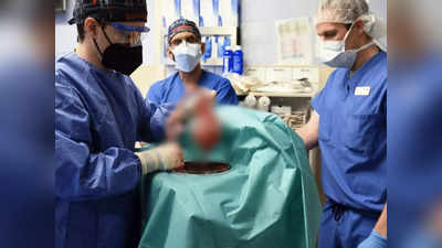 Pig Heart Transplant To Human: दुनिया में पहली बार सुअर का दिल लगवाने वाले शख्स की मौत, ऑपरेशन के दो महीने बाद तक चली सांसें
