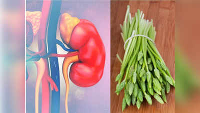 World Kidney Day: किडनियों में चिपके जहरीले पदार्थों को बाहर निकालकर उन्हें स्वस्थ और मजबूत बना सकती हैं ये 8 सब्जियां