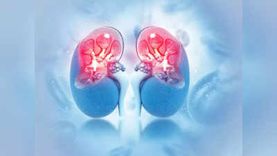 kidney cancer: இந்த காரணங்களால் கூட சிறுநீரக புற்றுநோய் வருமாம்... கவனமா இருங்க...