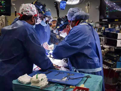 Pig Heart Transplant: डुक्कराचं हृदय प्रत्यारोपण केल्यानंतर रुग्णाचा दोन महिन्यांत मृत्यू