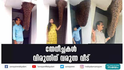 തേനീച്ചകൾ വിരുന്നിന് വരുന്ന വീട്