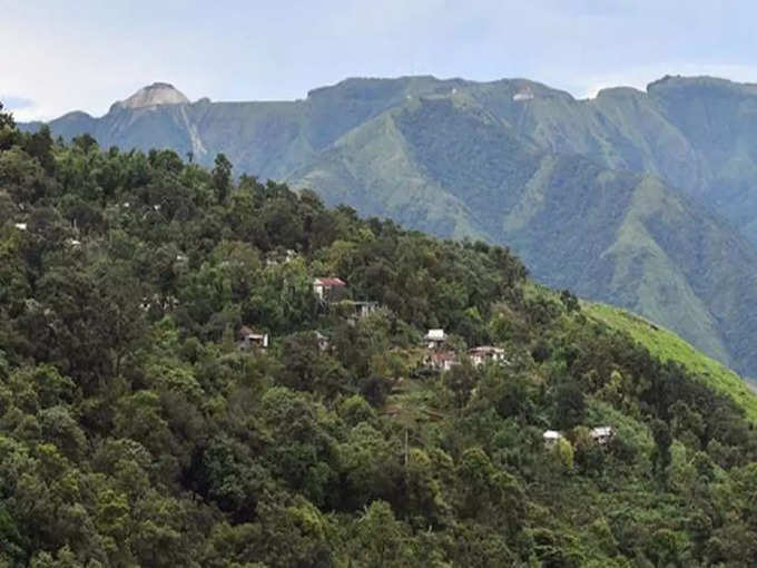 प्रकृति और पक्षियों से प्रेरित होती है धुन -