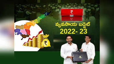 AP Budget: వ్యవసాయానికి రూ.11,387 కోట్లు.. ఉచిత విద్యుత్, రైతు భరోసాకు భారీ కేటాయింపులు