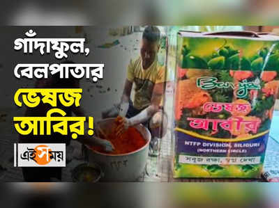 Herbal Gulal: গাঁদাফুল, বেলপাতার ভেষজ আবির!