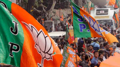 Assembly Election Result Update:৪ রাজ্যের মতো Tripura-Karnataka-এও উঠবে গেরুয়া ঝড়, আত্মবিশ্বাসী BJP মুখ্যমন্ত্রীরা