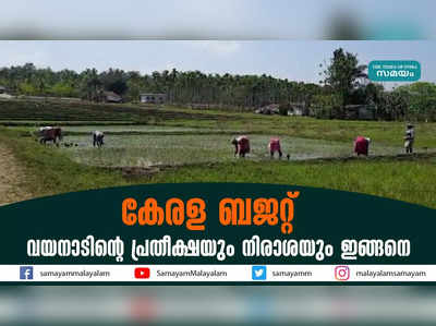 കേരള ബജറ്റ്: വയനാടിൻ്റെ പ്രതീക്ഷയും നിരാശയും ഇങ്ങനെ