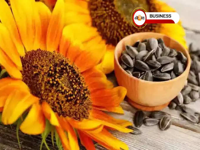 sunflower oil