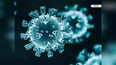 Coronavirus: ২৫ জনে আক্রান্ত ১! UK-তে হু হু করে বাড়ছে করোনা সংক্রমণ
