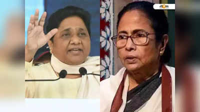 BJP বিরোধীতায় ঢের সফল Mamata Banerjee,  কবুল Mayawati-র