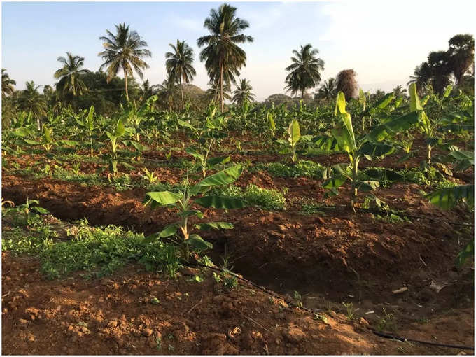 ​ചെറിയ റെക്കോഡുകളും സ്വന്തം